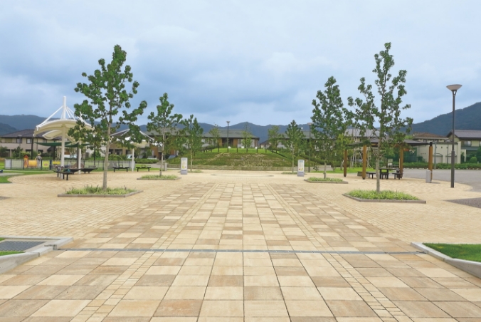 land scape